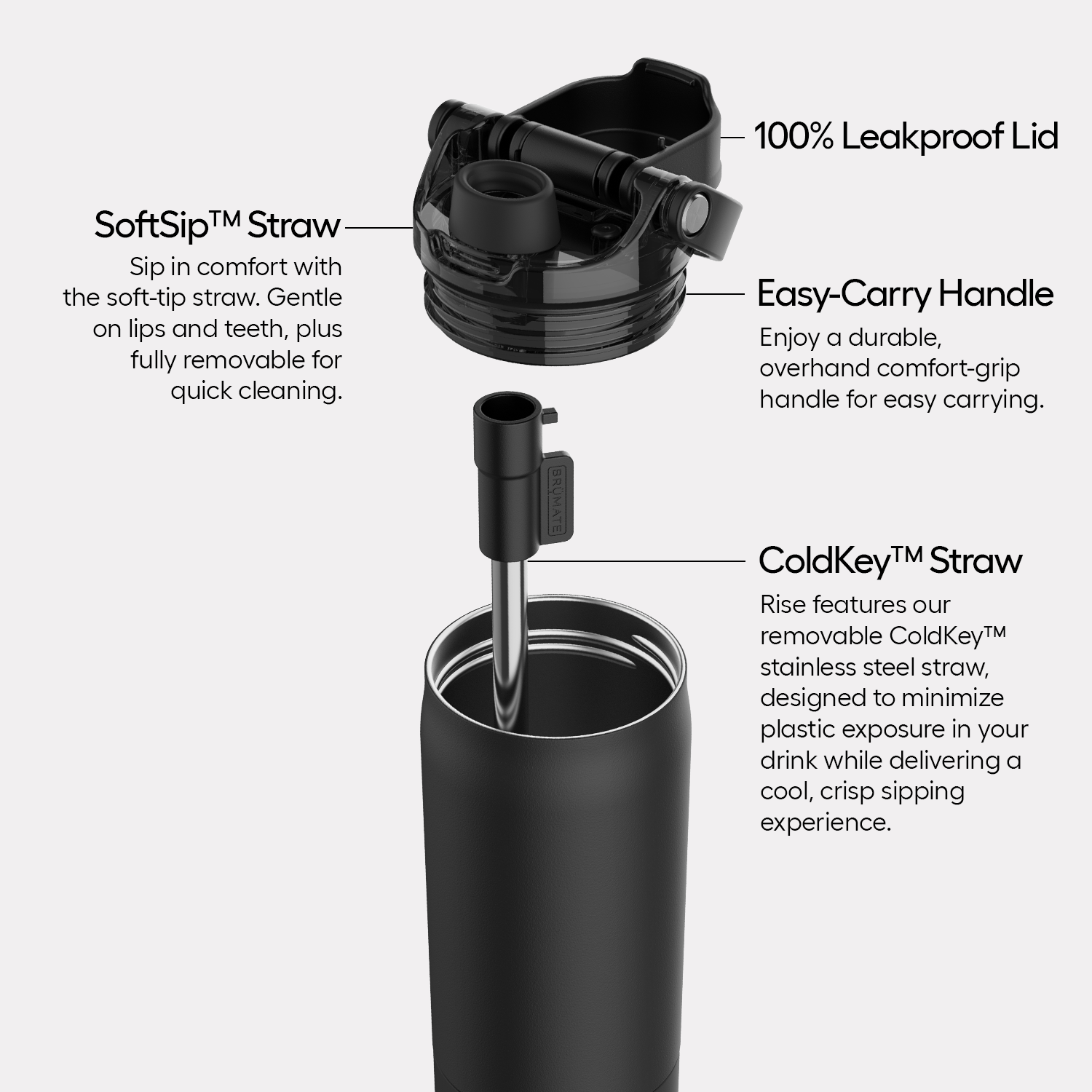 Rise 25oz | Matte Royal